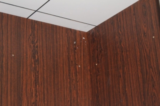 Elevator Interior Renovation