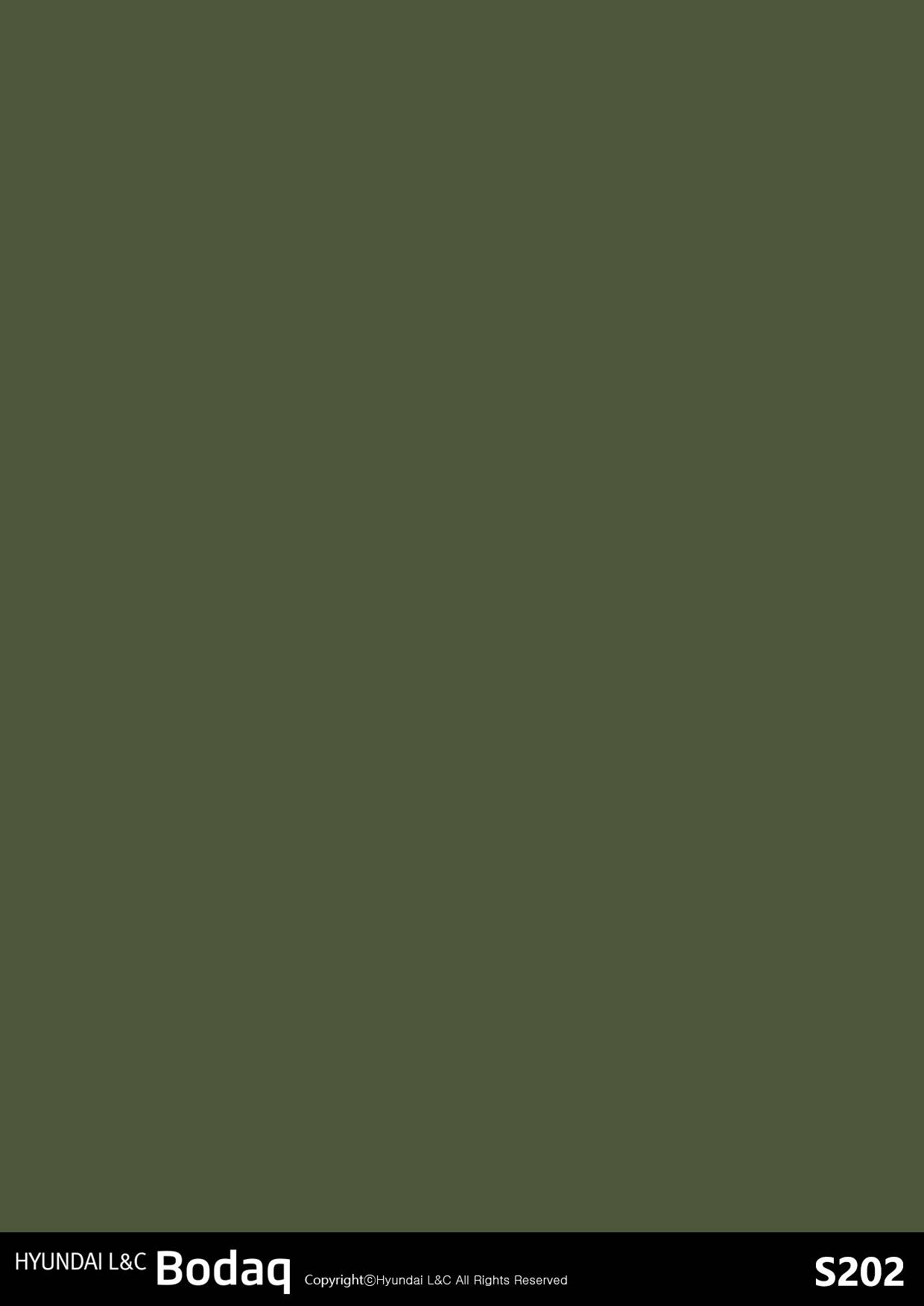 S202 Moss Green Interior Film - Solid Color Collection ⋆ Nelcos