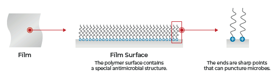 How Clarivale antimicrobial film works