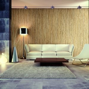 Wall Paneling refinishing with DW702 Design Wood Bodaq interior film