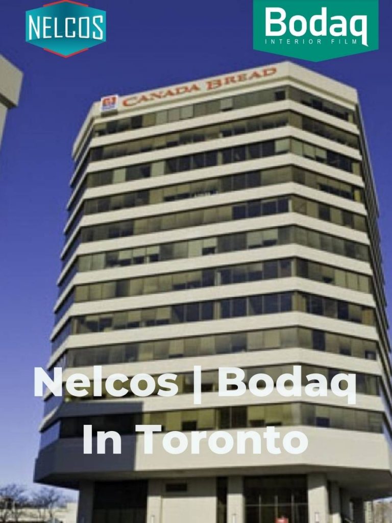 Nelcos and Bodaq office reopening in Toronto