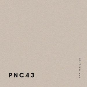 PNC43 Premium Concrete pattern