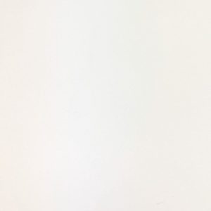 WF001 White