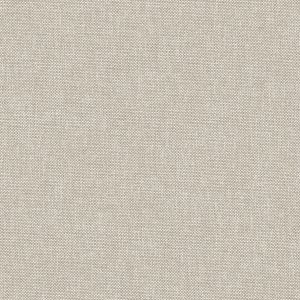 NF905_NEW 2 Large