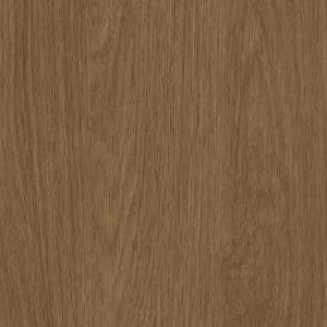 OGW01 Noble Oak